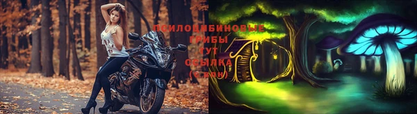 ECSTASY Новодвинск