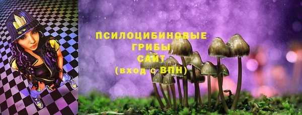 ECSTASY Новодвинск