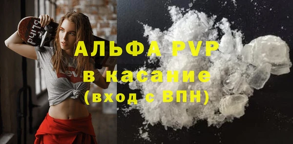 ECSTASY Новодвинск
