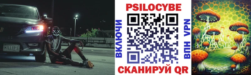 Псилоцибиновые грибы Magic Shrooms  Купить закладки  Находка 